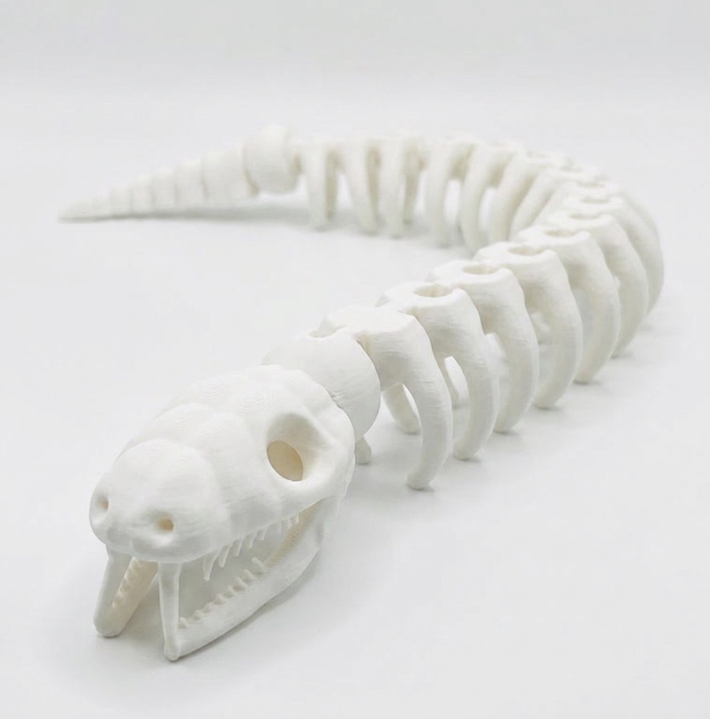 Mini Snake Skeleton